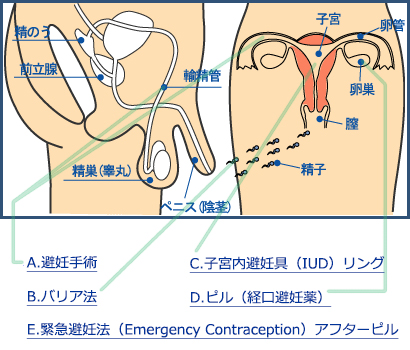 避妊について